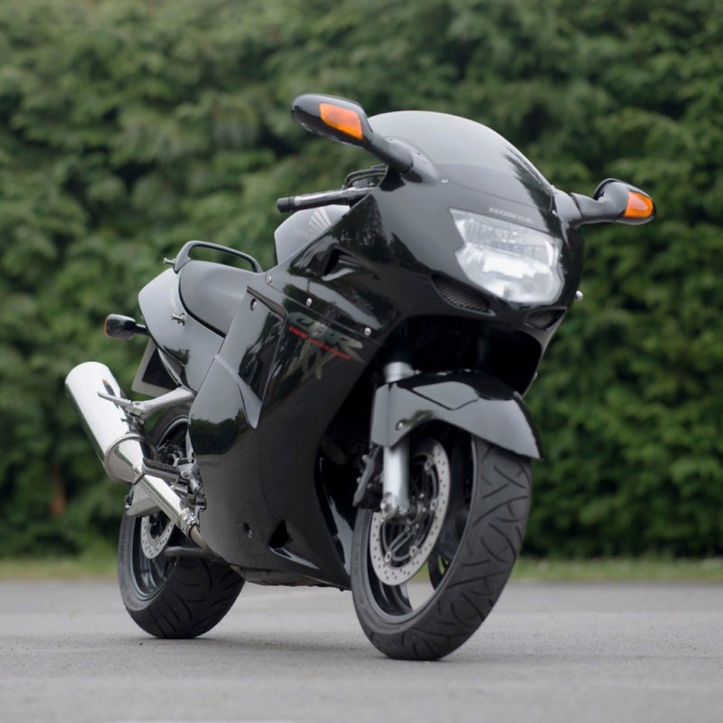 Honda CBR 1100 super Blackbird