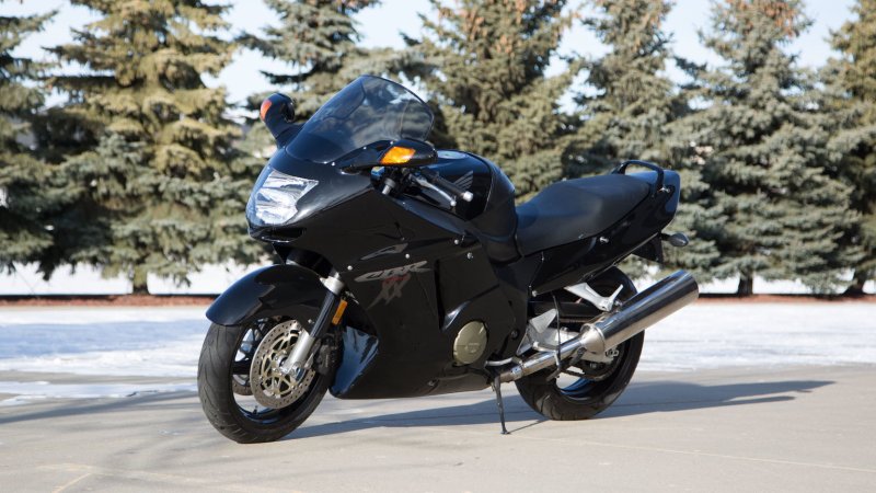 Honda CBR 1100 Blackbird