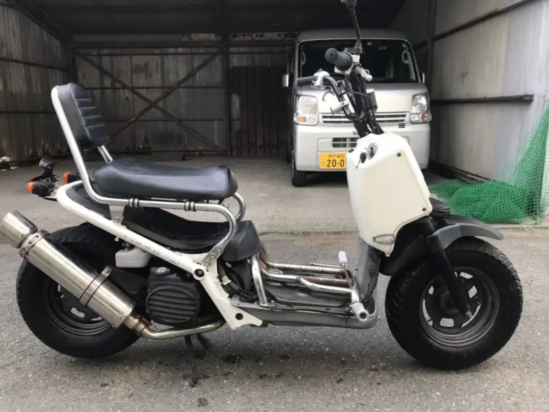 Honda zoomer Ruckus