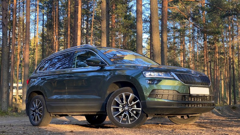 Skoda Karoq 2022 Beige