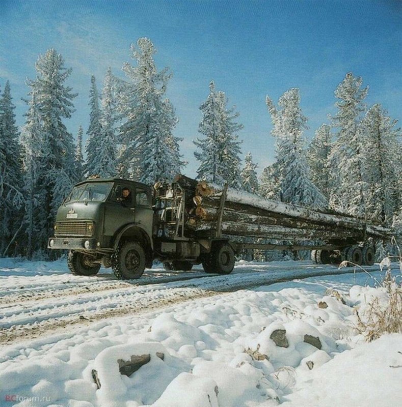 Лесовоз МАЗ 509 леспромхоз