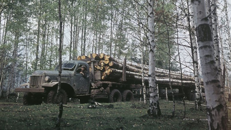 Леспромхоз вывозка древесины 1968