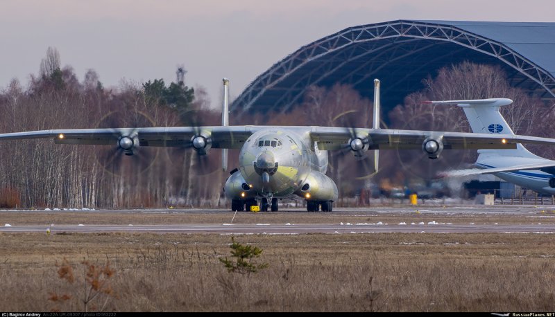 АН 22 дизайн Гостомель