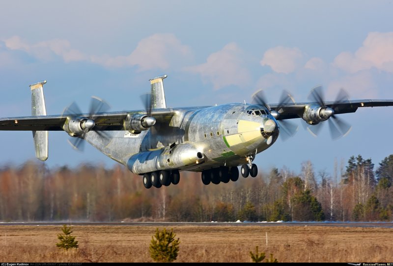 Модель АН-22 камуфлированный