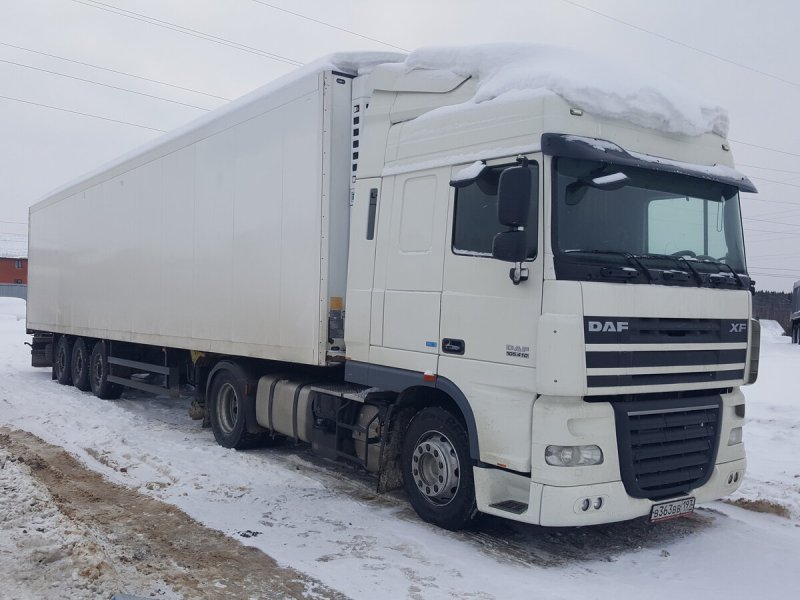 Белый Даф 105 с рефрижератором