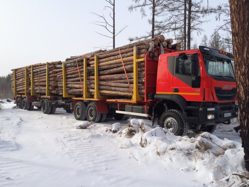 Сортиментовоз Iveco-AMT 633920