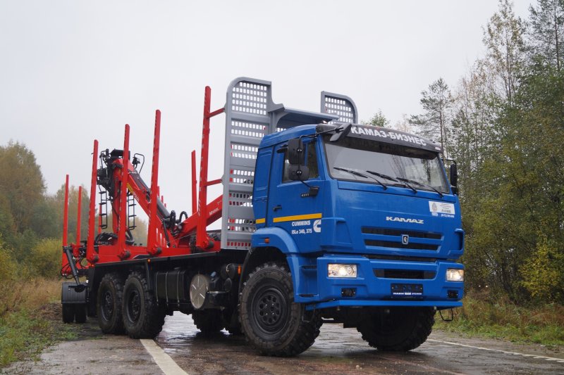 КАМАЗ 43118 сортиментовоз