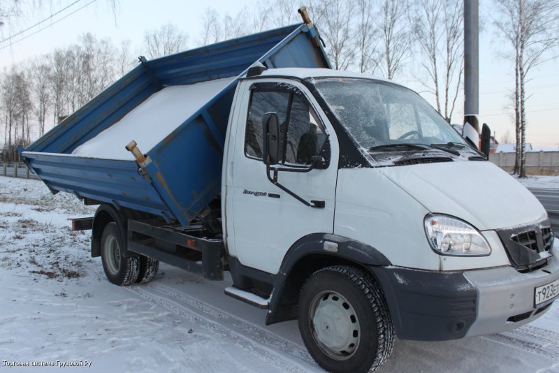 ГАЗ САЗ 2505 10 Валдай