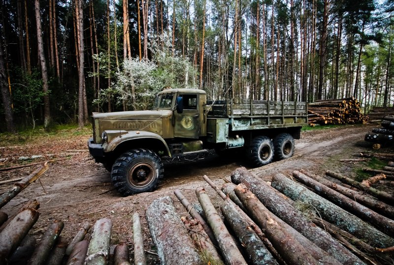 КРАЗ 255б1