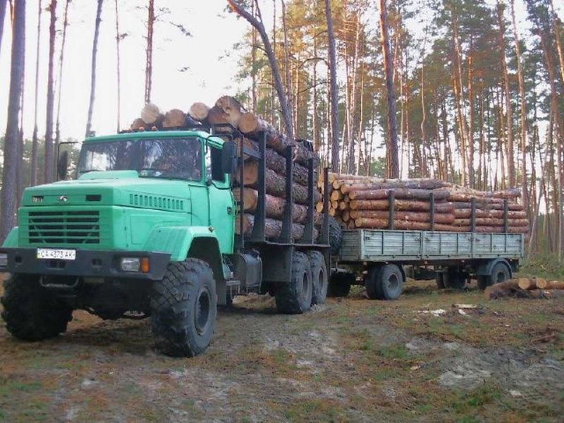 КРАЗ 260 лесовоз