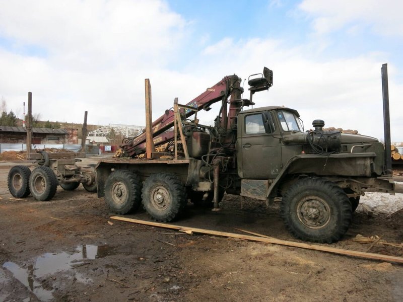 Урал 43204-31 лесовоз