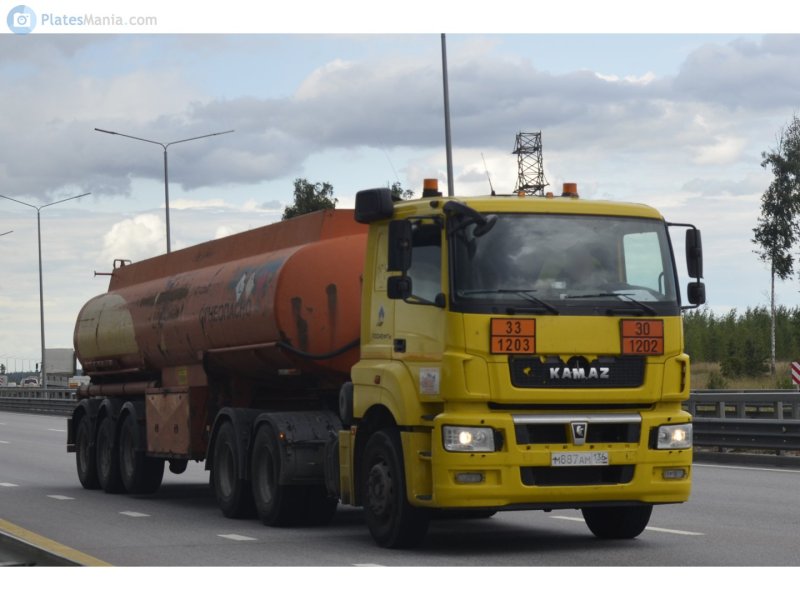 КАМАЗ 65206 Роснефть