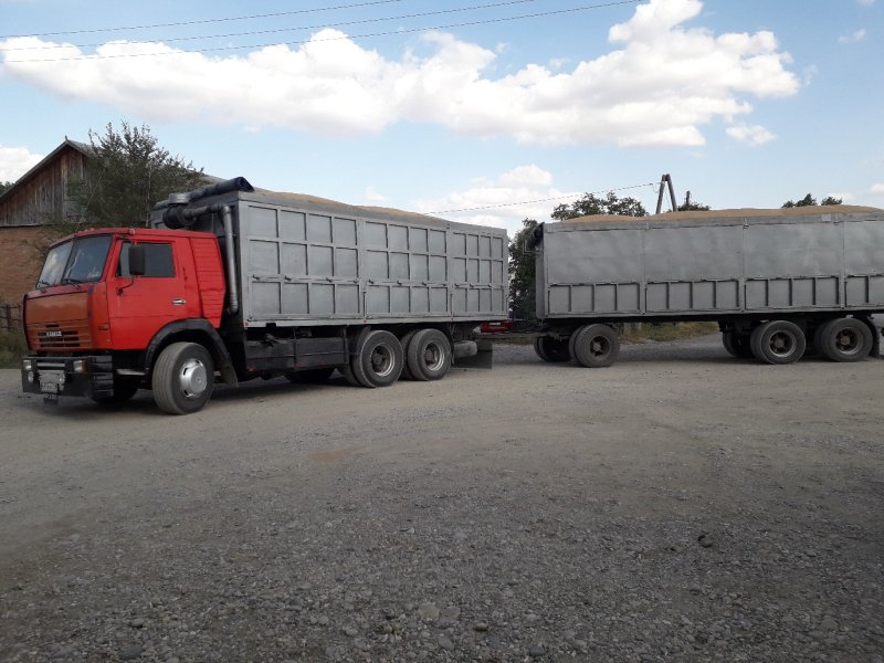 Зерновоз КАМАЗ 552911