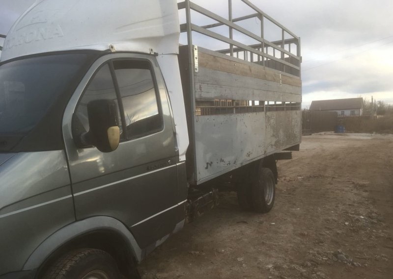 Газель скотовоз