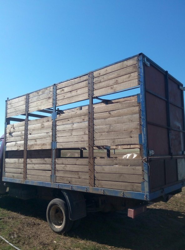 Трап на Газель скотовоз