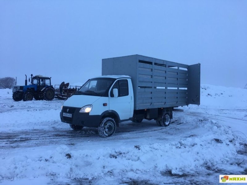 Газель фермер скотовоз