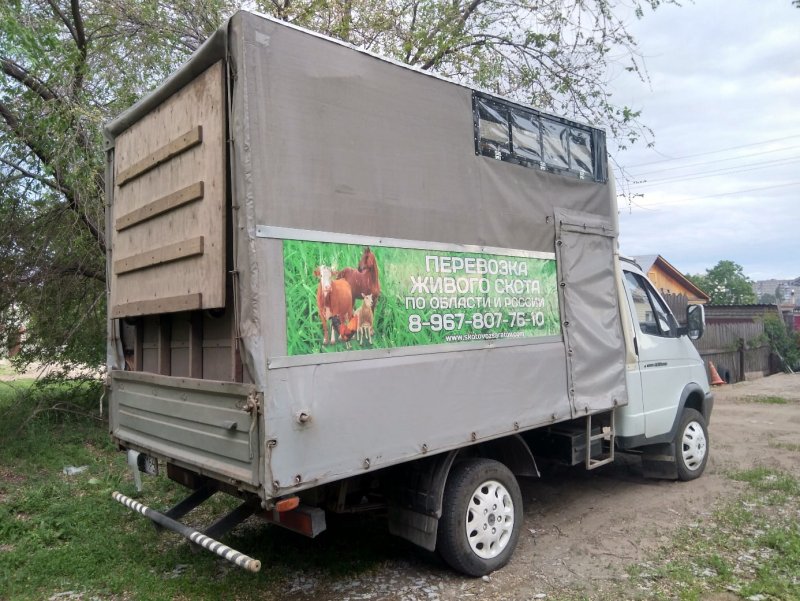 Грузоперевозки газели скотовозы в Калмыкии. Мингиян кумеев