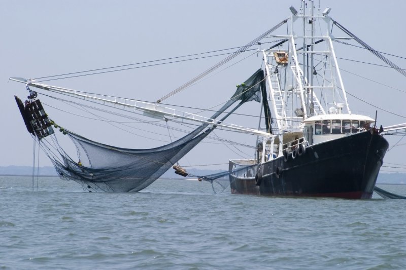 Трал морской