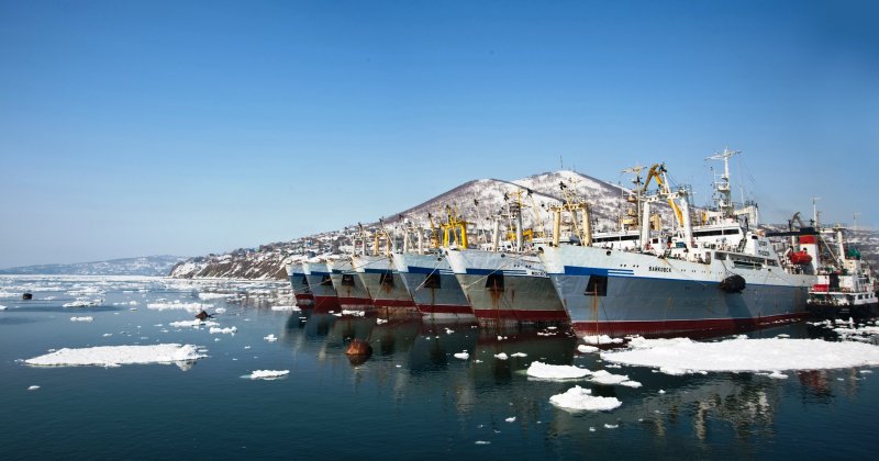Сайт ОКЕАНРЫБФЛОТ Петропавловск-Камчатский