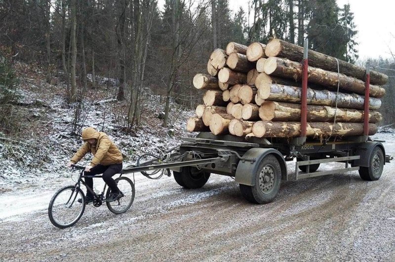 Дрова приколы