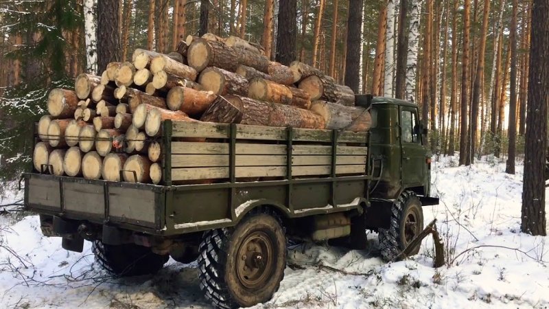 ГАЗ-66 Шишига с дровами