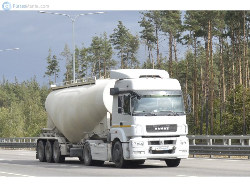 КАМАЗ-5490 Муковоз