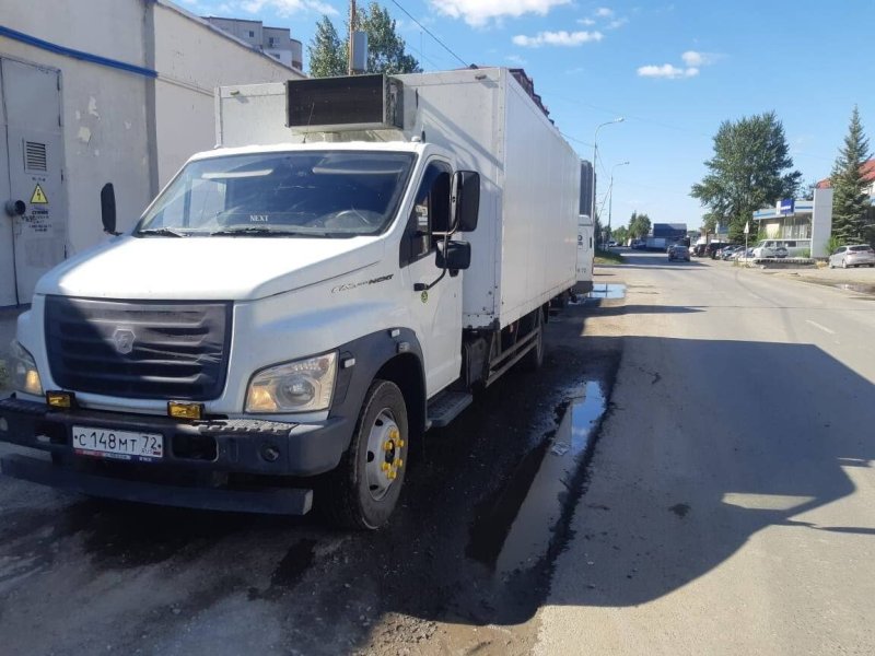 ГАЗ 3010ga