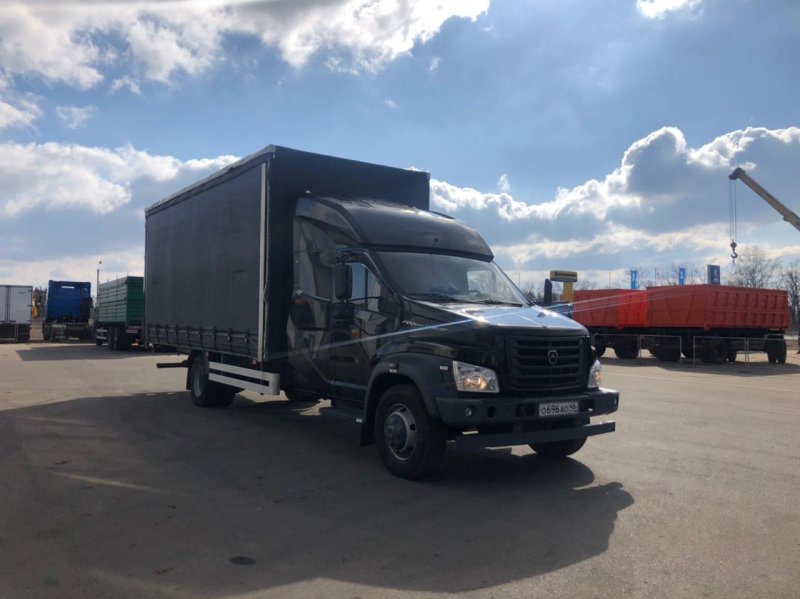 Газон next 3010 GD