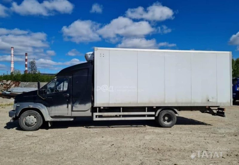 ГАЗ 3010ga