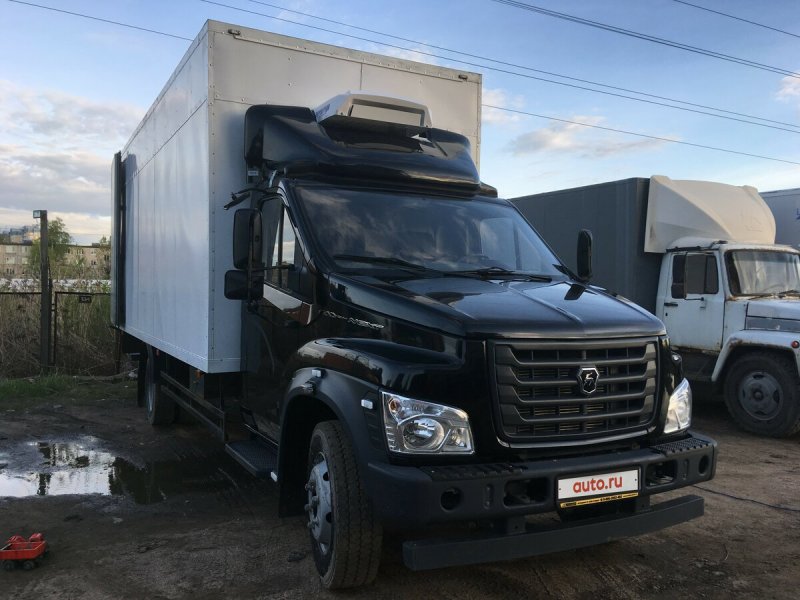 Газон next 3010 ga