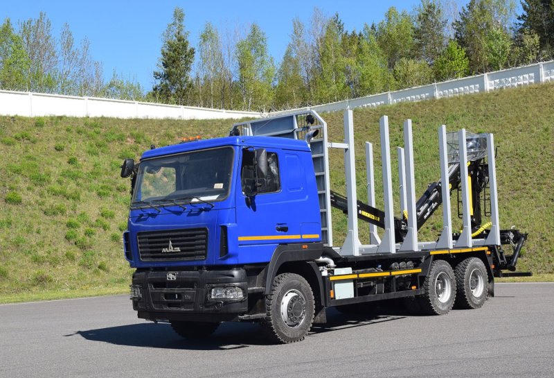 МАЗ-6312с9 с манипулятором vm10l74rx38