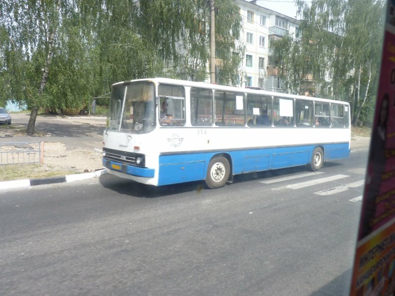 Автобусы ЛИАЗЫ скотовозы