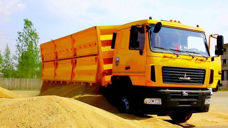 МАЗ 6501а8 зерновоз