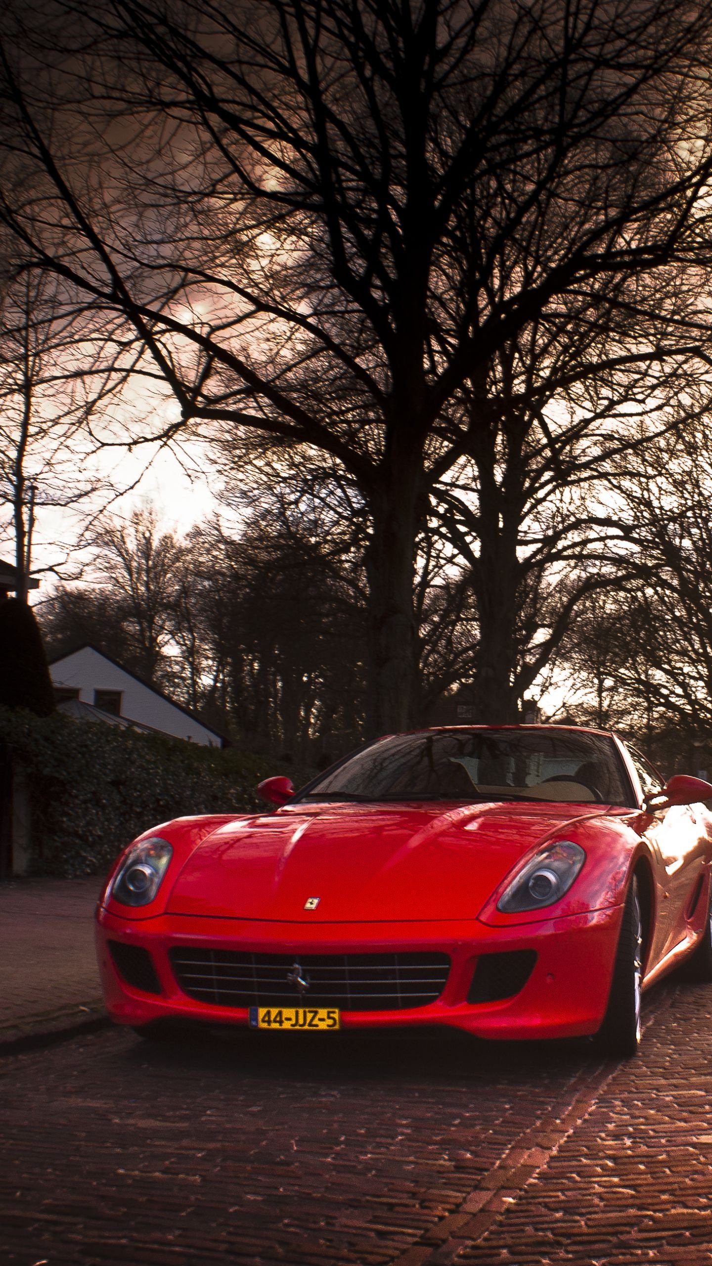 Фото машин вертикально. Ferrari 599. Красивые машины. Машины вертикальные. Красивая красная машина.