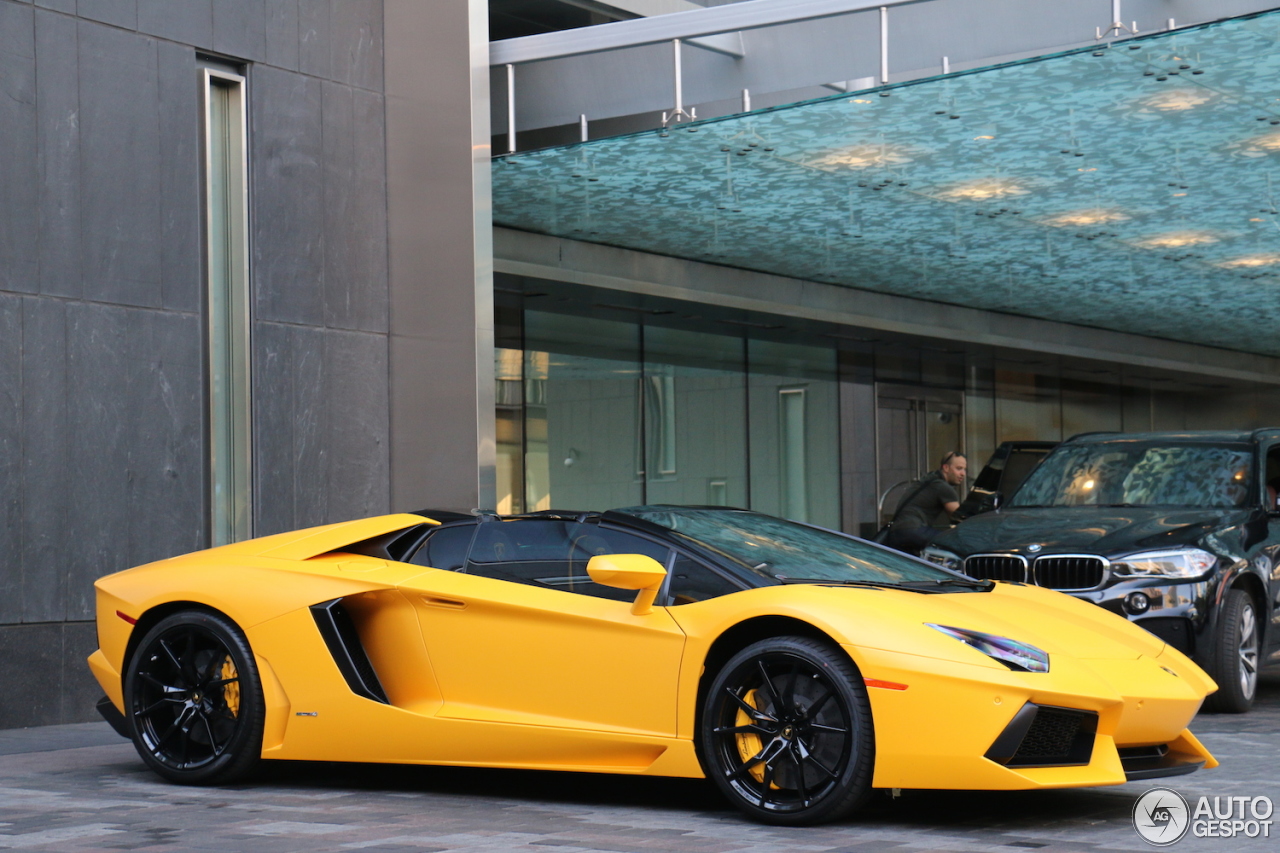 lamborghini aventador lp700-4 roadster silver