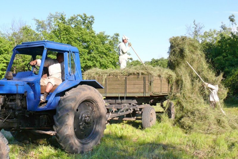 ГАЗ 53 везет МТЗ
