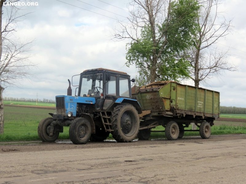МТЗ 80 С кормораздатчиком