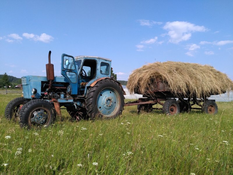 Т-40 (трактор)