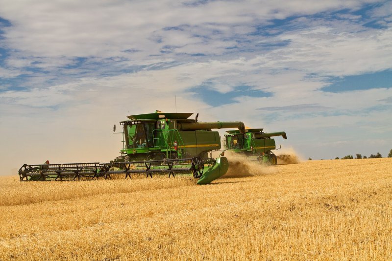 Сельское хозяйство Туркменистана пшеница