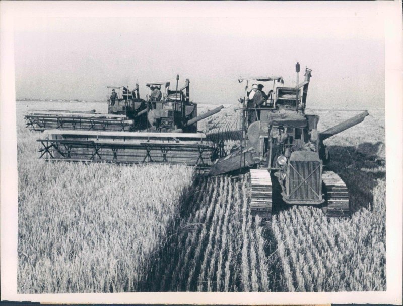 Аграрный колхоз «красный Урал», в 1966 г