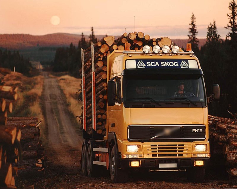 Volvo fh12 лесовоз