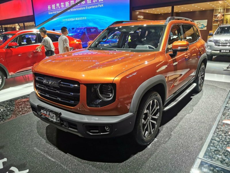 Haval x Dog 2022
