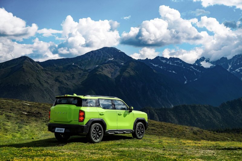 Haval cool Dog