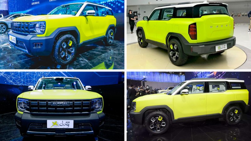 Haval x Dog 2022
