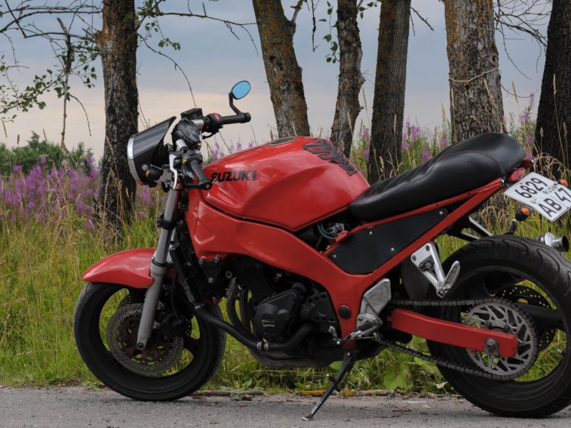Suzuki RF Custom