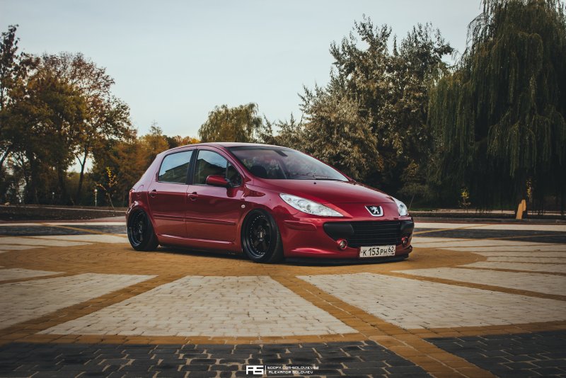 Peugeot 307 стенс