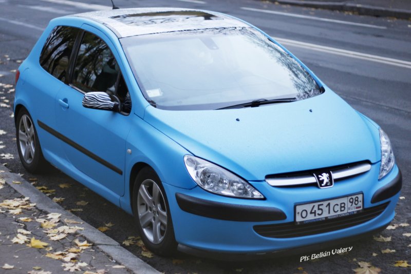 Peugeot 307 Hatchback Rally