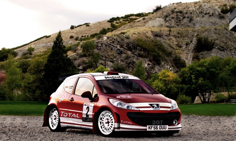 Peugeot 207 Rally