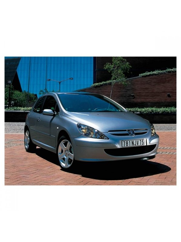 Peugeot 307 2000