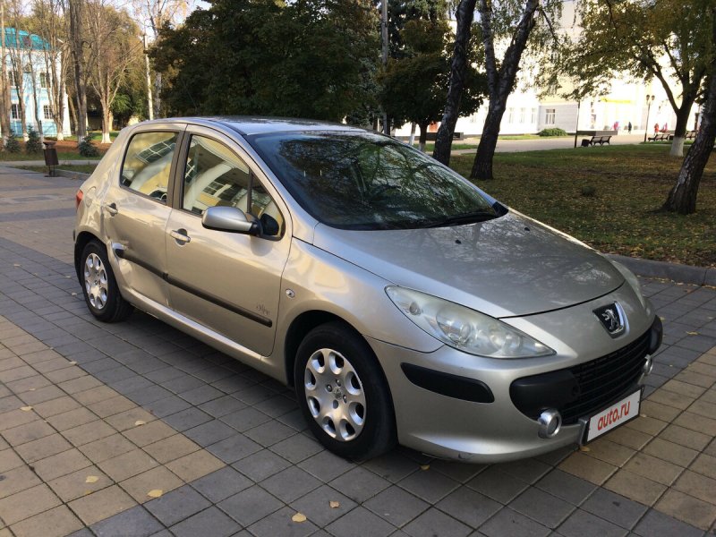 Пежо 307 2006 года